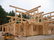 Log Home shell re-assembly in Slovenia.